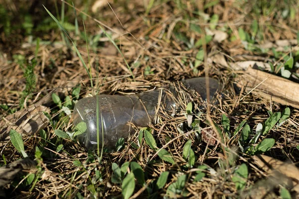 Queda basura en el bosque. Las botellas de plástico que ensucian el bosque son —  Fotos de Stock