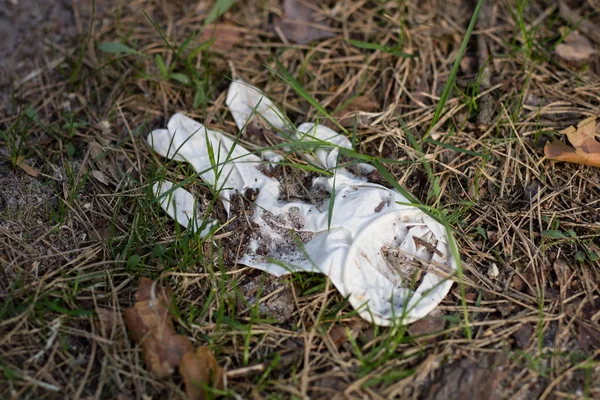 Çöp ormanda yaptı. Plastik şişeler orman çöp — Stok fotoğraf