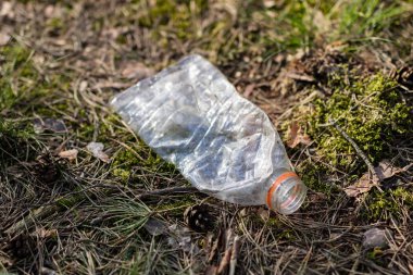 Çöp ormanda yaptı. Plastik şişeler orman çöp