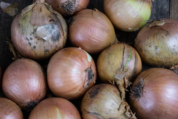 Gustosa cipolla matura in un sacco di iuta. Ortaggi scavati nella — Foto Stock