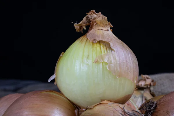 Gustosa cipolla matura in un sacco di iuta. Ortaggi scavati nella — Foto Stock