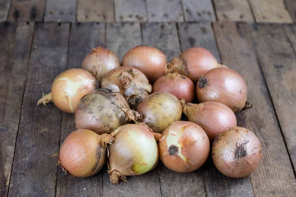 Leckere reife Zwiebeln in einem Jutesack. Gemüse ausgehöhlt in der — Stockfoto