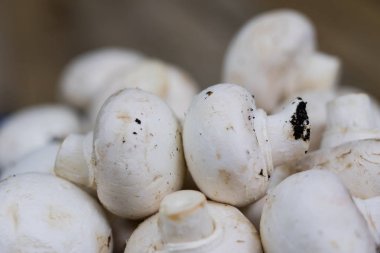 Lezzetli mantar ahşap bir masa üzerinde. Mantar mutfakta bir