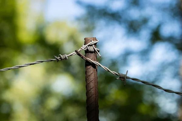 Taggtråd på staketet. Gammal taggtråd på staket av en imp — Stockfoto