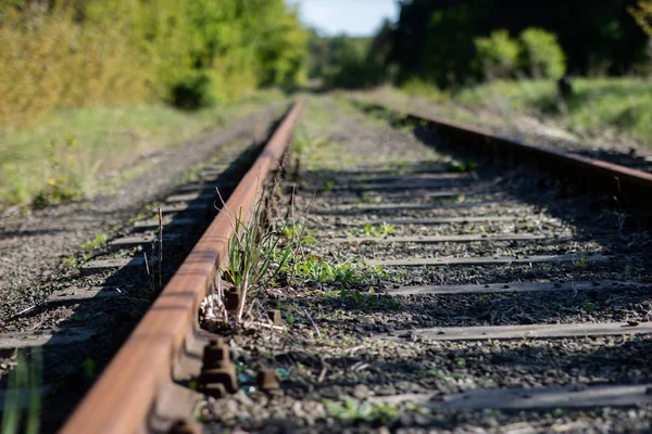 Old railway line. Fastening rails to railway sleepers.