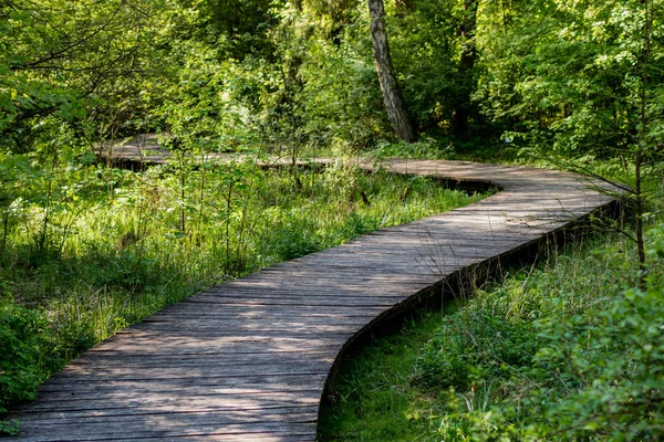 Uma ponte de madeira sinuosa na floresta. Um caminho florestal que leva acr — Fotografia de Stock