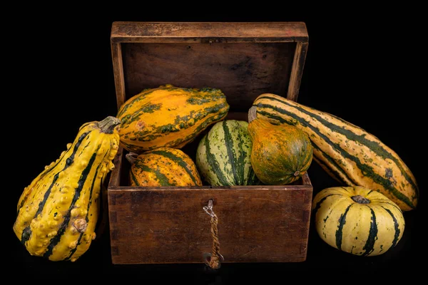 Zucca decorativa in una vecchia scatola di legno . — Foto Stock