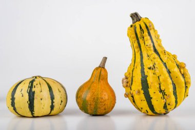 Beyaz bir masada dekoratif balkabağı.. 