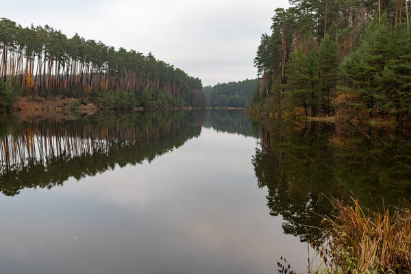 Hazy lake and coniferous forest. 