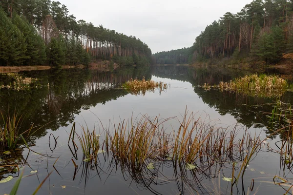 piotrek@wytrazek.pl