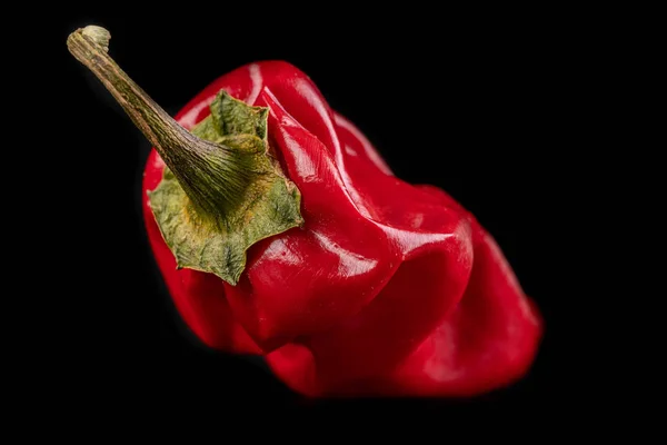 Pimenta quente enrugada na mesa . — Fotografia de Stock