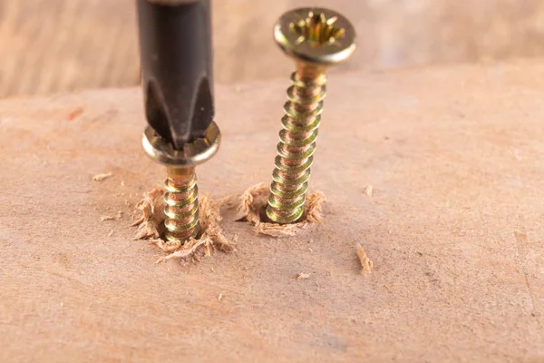 Screwdriver and screws for connecting wooden elements. Carpentry
