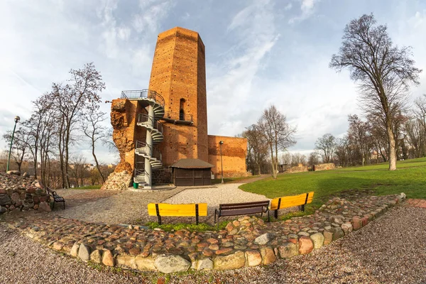 Zřícenina pozdně gotického hradu se zbývající myší věží. — Stock fotografie