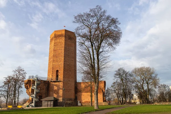 Ruins of the late Gothic castle with the remaining Mouse Tower. — Stock Photo, Image