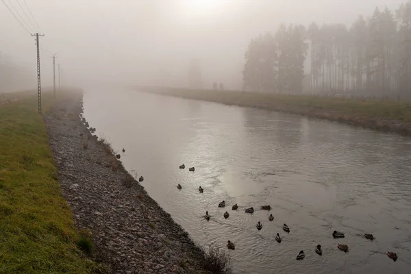 Water channel leading to the power plant in Central Europe. Fog — 스톡 사진