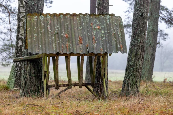 森の中に立っている木製の空の給餌ラック。給餌場 — ストック写真