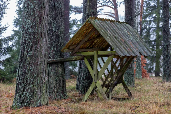 Wooden empty feeding rack standing in the forest. Feeding place