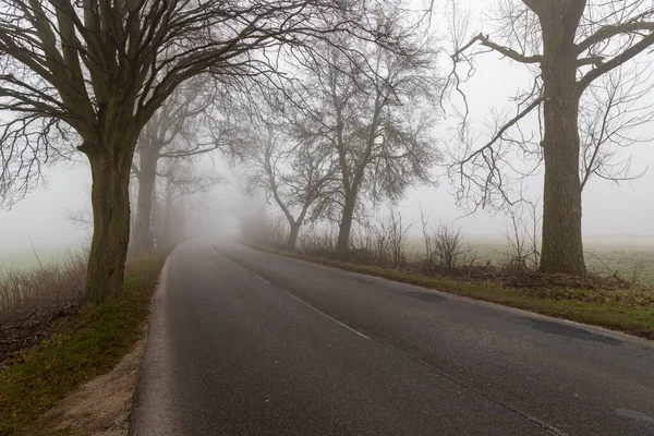 Camino de asfalto en la niebla. Carretera pública con árboles creciendo en el s — Foto de Stock