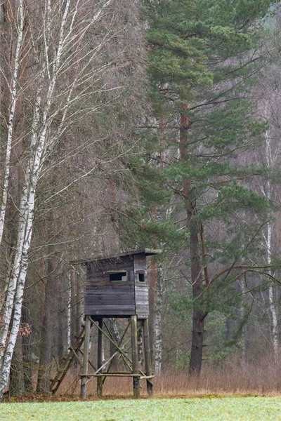 Avcılık kürsüsü ormanın kenarında duruyordu. Tahta yapı