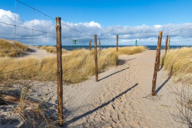 Deniz kıyısına giden yol. İzler deniz kumullarıyla işaretlenmiş. Bahar mevsimi.