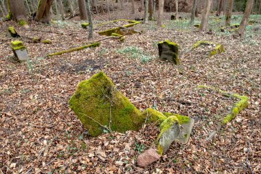Ciecholub, pomorskie / Polonya - 13 Mart 2020: Eski unutulmuş Evanjelik mezarlığı. Geçen yüzyıldan kalma defin yeri. Bahar mevsimi.