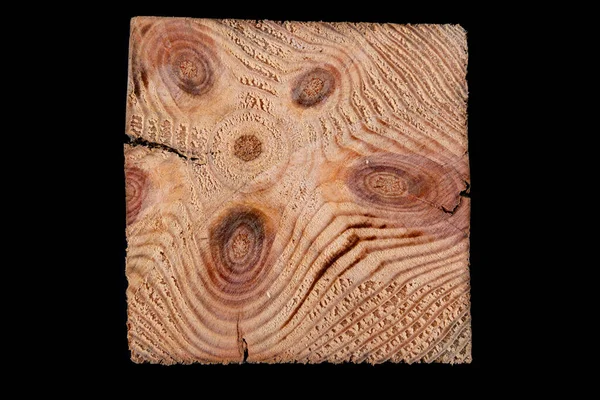 Cross section of a piece of pine wood. Knots in cross section. Dark background.