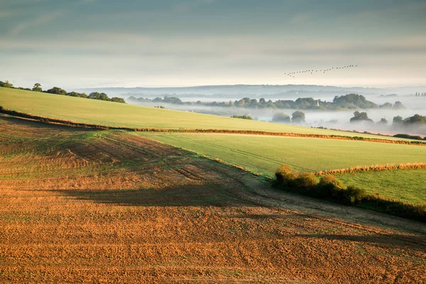 Ландшафт над сельскохозяйственными полями — стоковое фото