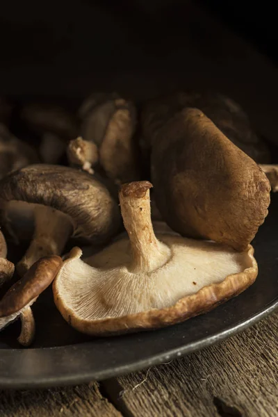 Fresh shiitake mushrooms on plate — Stock Photo, Image