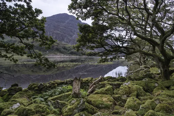 Montagne reflétée dans le lac calme — Photo