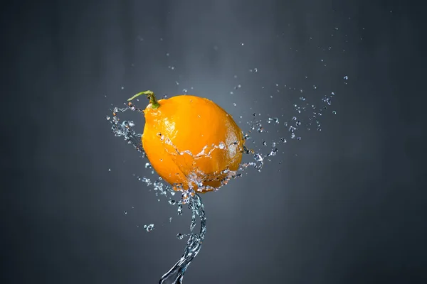 Lemon and splash of water on gray background Royalty Free Stock Images