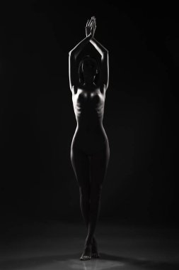 çıplak bir kız silüeti