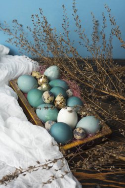 Mavi, beyaz ve tavuk yumurtası ve ahşap retro bıldırcın yumurtası 
