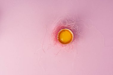 Yumurta kabuğu kırık yumurta sarısı üzerinde pembe sisal yuva ile dekore edilmiş olan