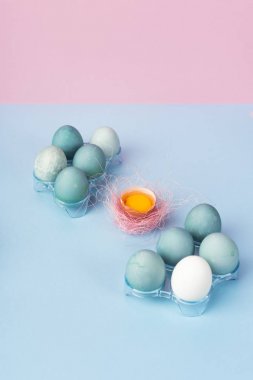 Birkaç mavi ve pembe sisal yuva ile dekore edilmiş yumurta kabuğu içinde yumurta sarısı