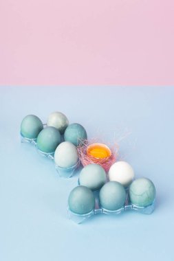 Birkaç mavi ve pembe sisal yuva ile dekore edilmiş yumurta kabuğu içinde yumurta sarısı