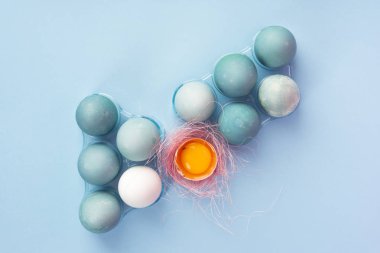 Birkaç mavi ve pembe sisal yuva ile dekore edilmiş yumurta kabuğu içinde yumurta sarısı