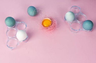 Birkaç mavi ve pembe sisal yuva ile dekore edilmiş yumurta kabuğu içinde yumurta sarısı