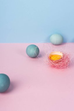 Birkaç mavi yumurta ve yumurta kabuğu sarısı p yuva ile dekore edilmiş