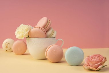 Çok renkli kurabiye pasta tomurcukları ile birlikte bir fincan yerleştirilir 
