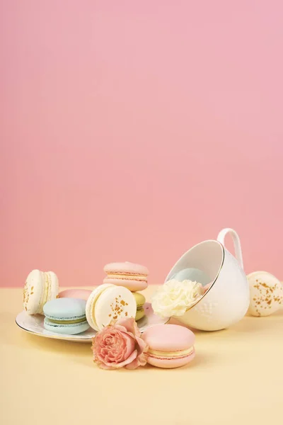Veelkleurige bitterkoekjes taart worden geplaatst in een schotel en een alo kop — Stockfoto