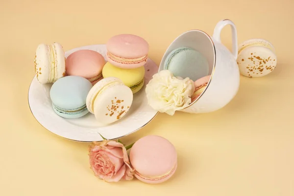 Multicolored macaroons cake are placed in a saucer and a cup alo — Stock Photo, Image