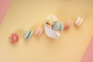 Çok renkli kurabiye pasta tomurcukları ile birlikte bir fincan yerleştirilir 