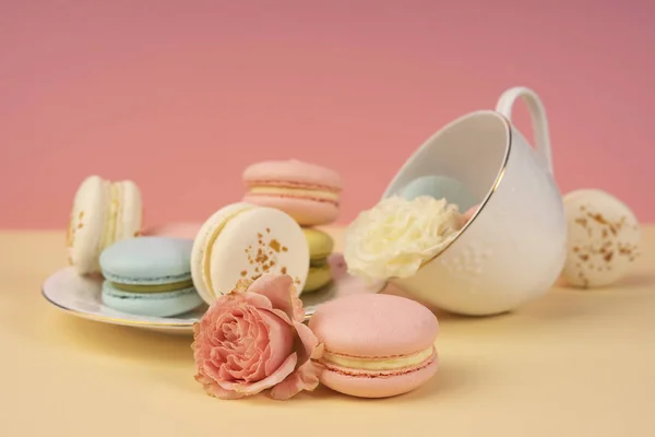 Bolo de macaroons multicoloridos são colocados em um pires e uma xícara alo — Fotografia de Stock