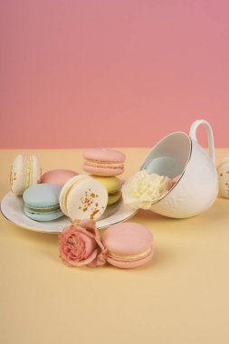 Çok renkli kurabiye pasta bir daire ve bir fincan alo yerleştirilir