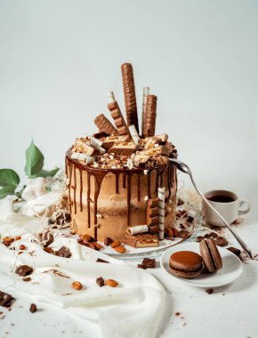 Çeşit çeşit kurabiye ve fındıkla süslenmiş çikolatalı pasta cam bir tabak ve badem kurabiyesi. Yemek fotoğrafçılığı. Reklamcılık ve ticari yakın plan tasarımı