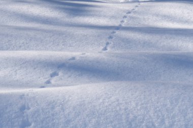 Kar dalgalar görüntü