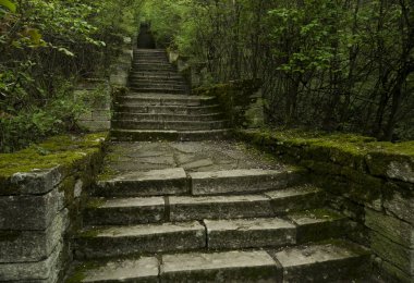 Sihirli adımlar görüntü