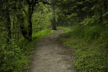 Sihirli yol görüntü