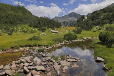 Dağ dere görüntü