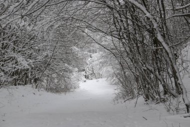 Karlı tünel görüntüsü